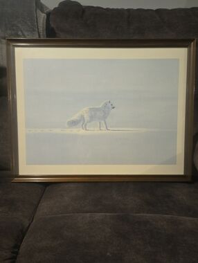 Framed Arctic Fox Painting Brenda Carter 1977 Print